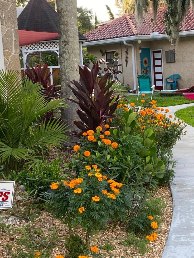 Ms. Maggie'S South Country Inn Daytona Beach Ngoại thất bức ảnh